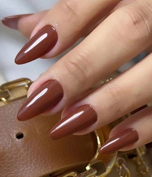 Brown Shien Nails